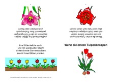 Faltbuch-Wenn die ersten Tulpenknospen.pdf